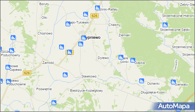 mapa Dylewo gmina Sypniewo, Dylewo gmina Sypniewo na mapie Targeo