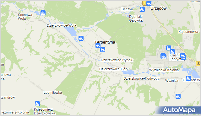 mapa Dzierzkowice-Rynek, Dzierzkowice-Rynek na mapie Targeo