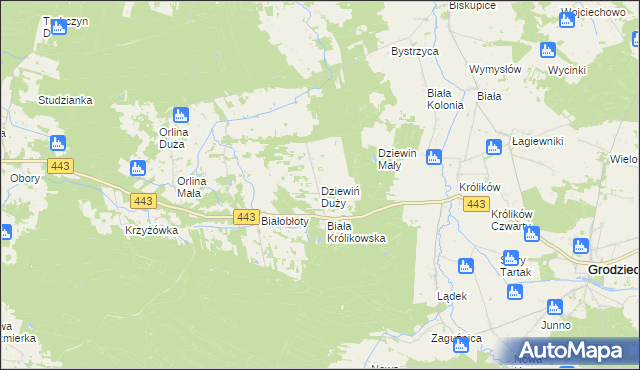 mapa Dziewiń Duży, Dziewiń Duży na mapie Targeo