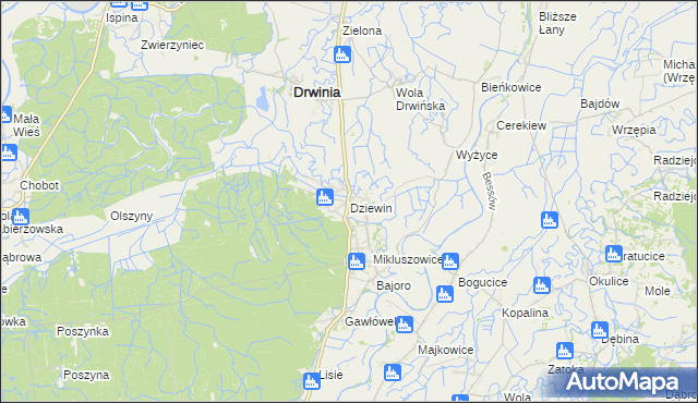 mapa Dziewin gmina Drwinia, Dziewin gmina Drwinia na mapie Targeo
