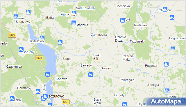 mapa Dziki Bór, Dziki Bór na mapie Targeo