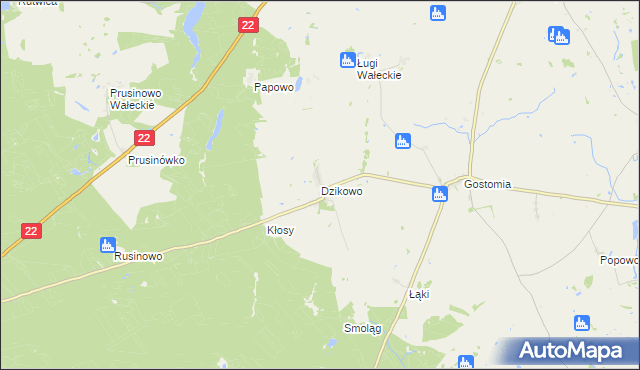 mapa Dzikowo gmina Wałcz, Dzikowo gmina Wałcz na mapie Targeo