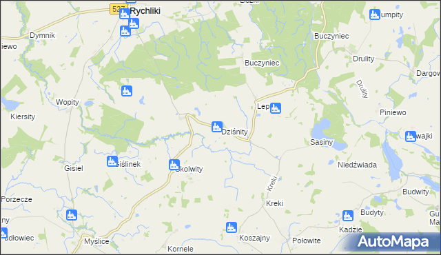 mapa Dziśnity gmina Rychliki, Dziśnity gmina Rychliki na mapie Targeo