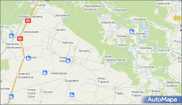 mapa Feliksów gmina Gostynin, Feliksów gmina Gostynin na mapie Targeo