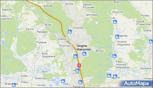 mapa Głogów Małopolski, Głogów Małopolski na mapie Targeo