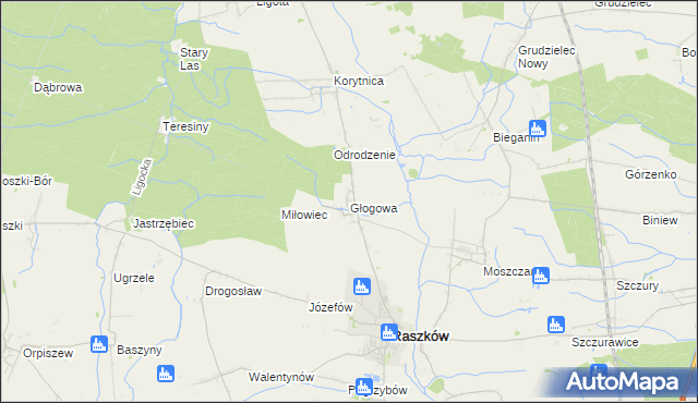 mapa Głogowa gmina Raszków, Głogowa gmina Raszków na mapie Targeo