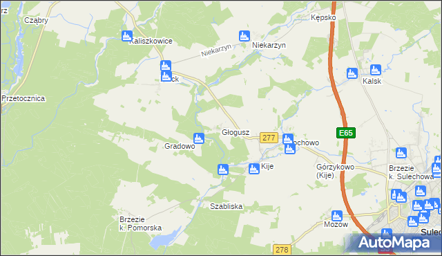 mapa Głogusz, Głogusz na mapie Targeo