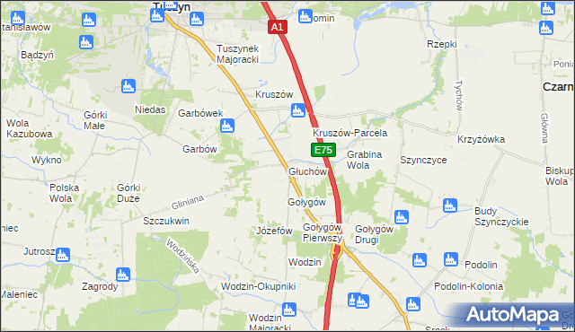 mapa Głuchów gmina Tuszyn, Głuchów gmina Tuszyn na mapie Targeo