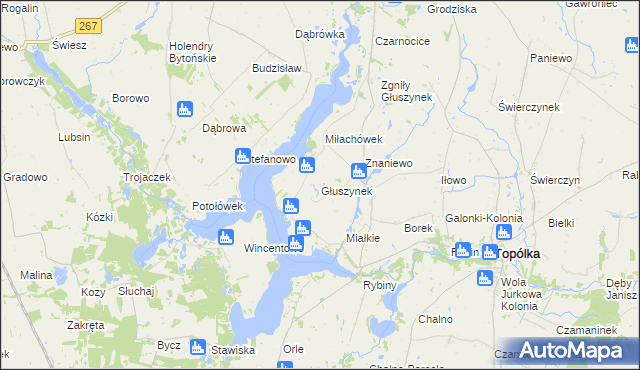 mapa Głuszynek, Głuszynek na mapie Targeo