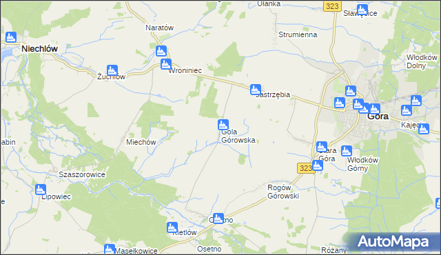 mapa Gola Górowska, Gola Górowska na mapie Targeo