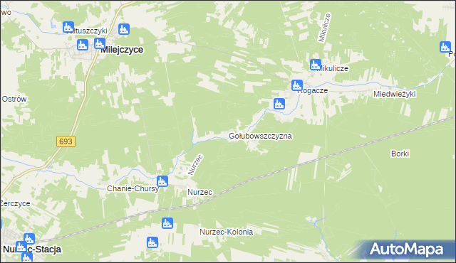 mapa Gołubowszczyzna, Gołubowszczyzna na mapie Targeo