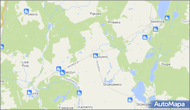 mapa Grzybno gmina Chojna, Grzybno gmina Chojna na mapie Targeo