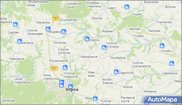 mapa Grzybów gmina Bogoria, Grzybów gmina Bogoria na mapie Targeo