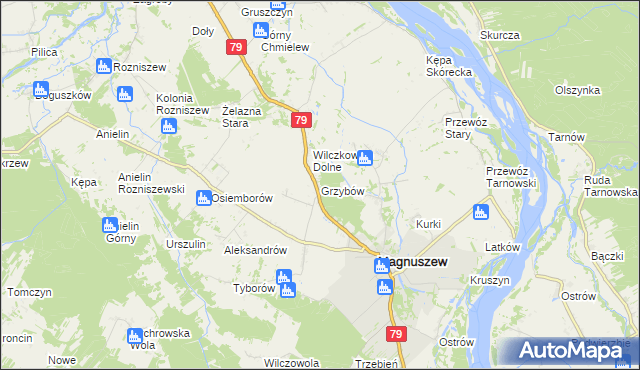 mapa Grzybów gmina Magnuszew, Grzybów gmina Magnuszew na mapie Targeo