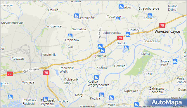 mapa Igołomia, Igołomia na mapie Targeo