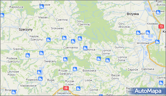 mapa Jabłonica gmina Skołyszyn, Jabłonica gmina Skołyszyn na mapie Targeo