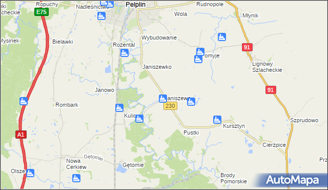 mapa Janiszewo gmina Pelplin, Janiszewo gmina Pelplin na mapie Targeo