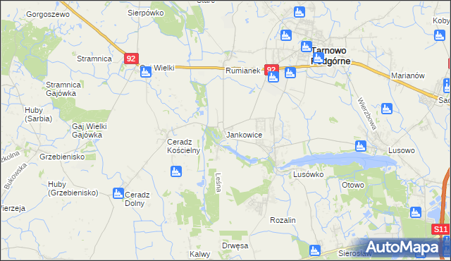 mapa Jankowice gmina Tarnowo Podgórne, Jankowice gmina Tarnowo Podgórne na mapie Targeo