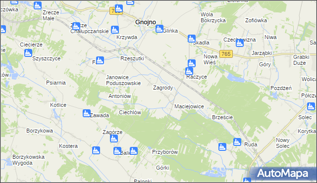 mapa Janowice Raczyckie, Janowice Raczyckie na mapie Targeo