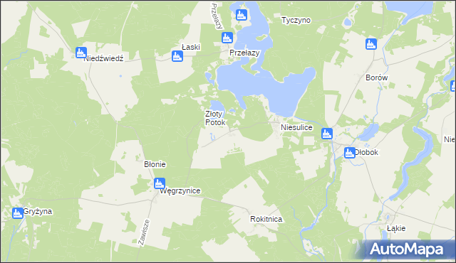 mapa Kalinowo gmina Skąpe, Kalinowo gmina Skąpe na mapie Targeo