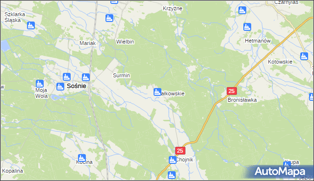 mapa Kałkowskie, Kałkowskie na mapie Targeo