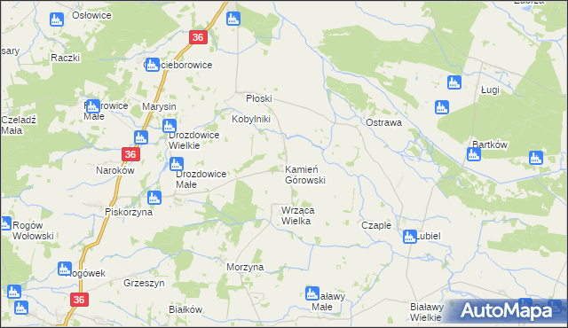 mapa Kamień Górowski, Kamień Górowski na mapie Targeo