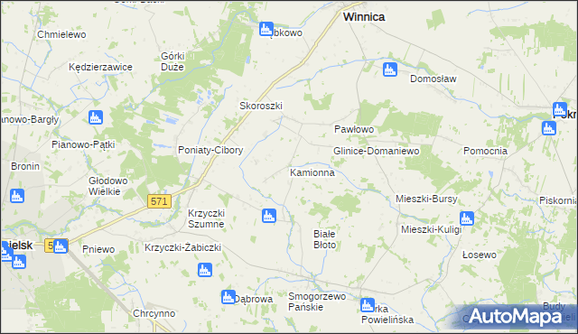 mapa Kamionna gmina Winnica, Kamionna gmina Winnica na mapie Targeo