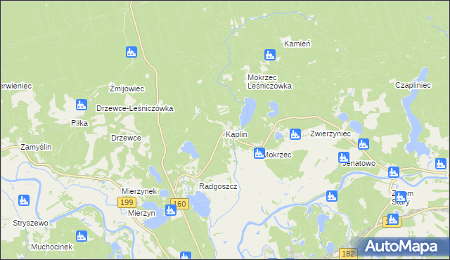 mapa Kaplin gmina Międzychód, Kaplin gmina Międzychód na mapie Targeo