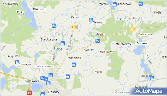 mapa Koninek gmina Pniewy, Koninek gmina Pniewy na mapie Targeo