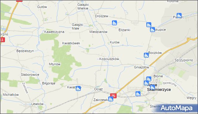 mapa Kościuszków gmina Nowe Skalmierzyce, Kościuszków gmina Nowe Skalmierzyce na mapie Targeo