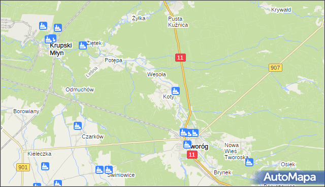 mapa Koty gmina Tworóg, Koty gmina Tworóg na mapie Targeo