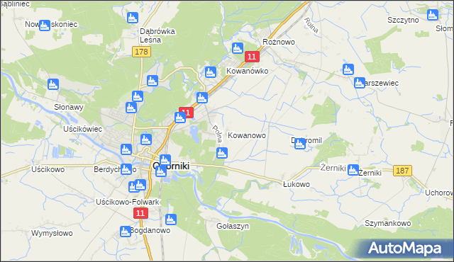 mapa Kowanowo gmina Oborniki, Kowanowo gmina Oborniki na mapie Targeo