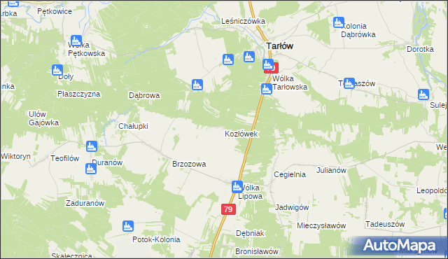 mapa Kozłówek gmina Tarłów, Kozłówek gmina Tarłów na mapie Targeo