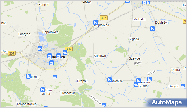 mapa Kozłowo gmina Opalenica, Kozłowo gmina Opalenica na mapie Targeo