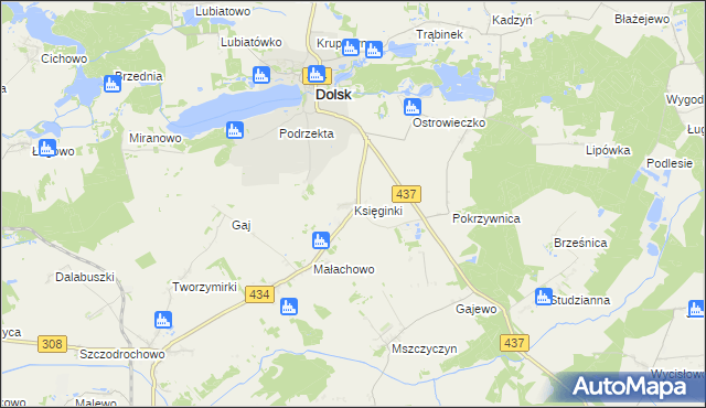 mapa Księginki gmina Dolsk, Księginki gmina Dolsk na mapie Targeo