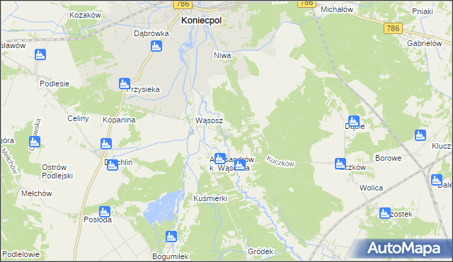 mapa Kuźnica Wąsowska, Kuźnica Wąsowska na mapie Targeo