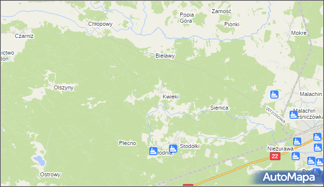 mapa Kwieki, Kwieki na mapie Targeo