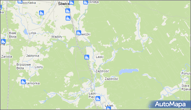 mapa Laski gmina Śliwice, Laski gmina Śliwice na mapie Targeo