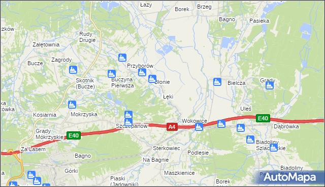 mapa Łęki gmina Borzęcin, Łęki gmina Borzęcin na mapie Targeo