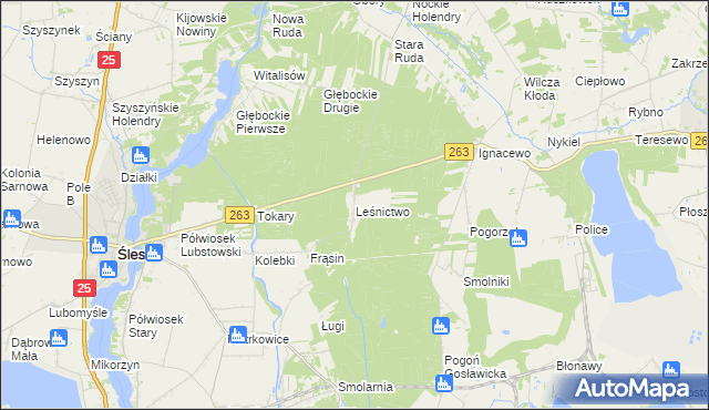 mapa Leśnictwo gmina Ślesin, Leśnictwo gmina Ślesin na mapie Targeo