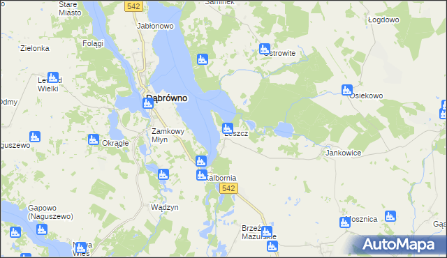 mapa Leszcz gmina Dąbrówno, Leszcz gmina Dąbrówno na mapie Targeo