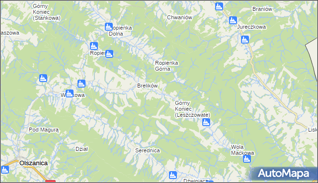 mapa Leszczowate, Leszczowate na mapie Targeo