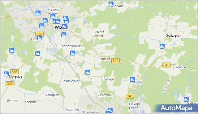 mapa Lipnica gmina Wołów, Lipnica gmina Wołów na mapie Targeo