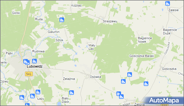 mapa Lisiny gmina Lubowidz, Lisiny gmina Lubowidz na mapie Targeo