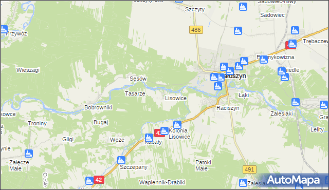 mapa Lisowice gmina Działoszyn, Lisowice gmina Działoszyn na mapie Targeo