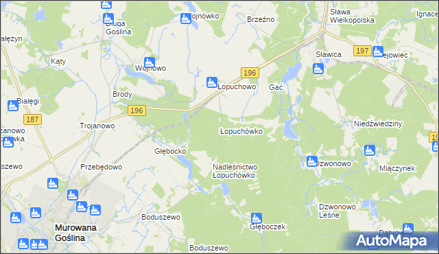 mapa Łopuchówko, Łopuchówko na mapie Targeo