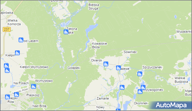 mapa Łosiny gmina Cekcyn, Łosiny gmina Cekcyn na mapie Targeo