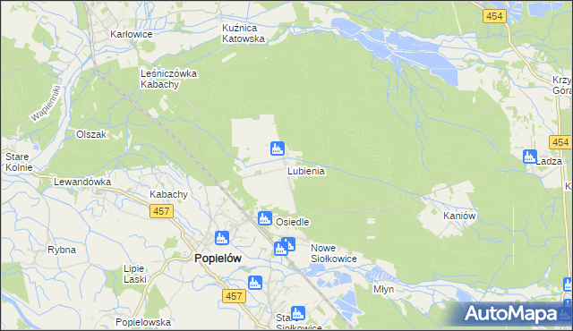 mapa Lubienia gmina Popielów, Lubienia gmina Popielów na mapie Targeo