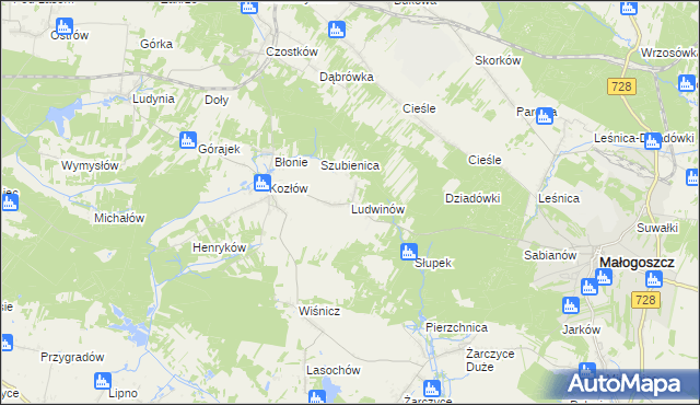 mapa Ludwinów gmina Małogoszcz, Ludwinów gmina Małogoszcz na mapie Targeo