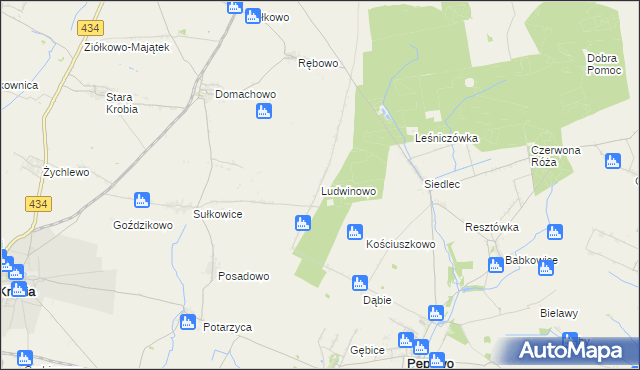 mapa Ludwinowo gmina Pępowo, Ludwinowo gmina Pępowo na mapie Targeo